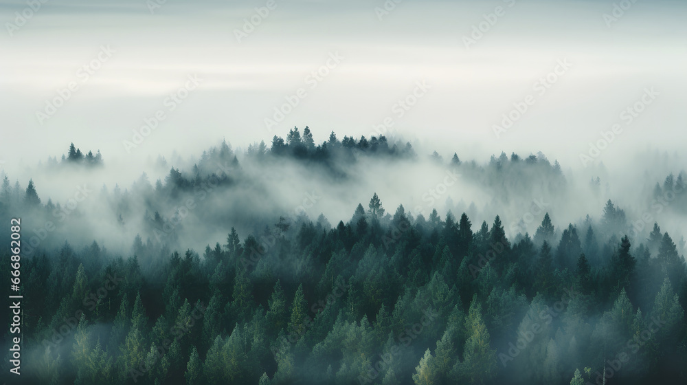 misty landscape with fir forest morning in the mountains vintage retro 