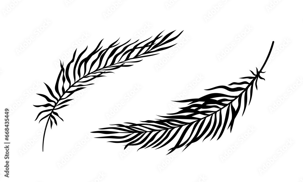 Palm leaves silhouette set. Black branches with foliage. Tropical and exotic stem. Rainforest and jungle plants part. Cartoon flat vector collection isolated on white background