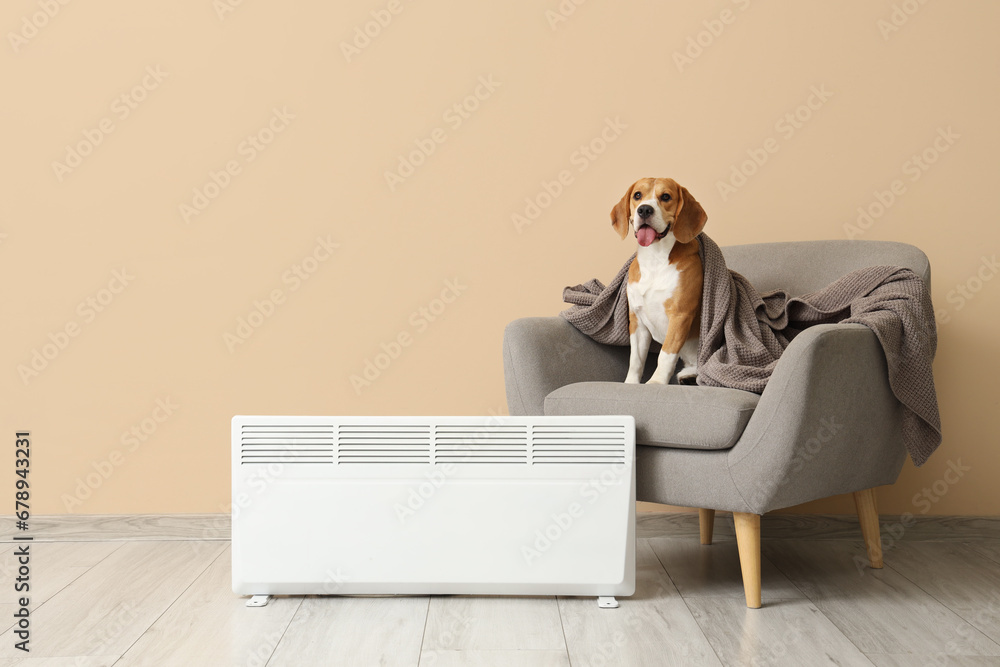 Cute Beagle dog in armchair and radiator near beige wall