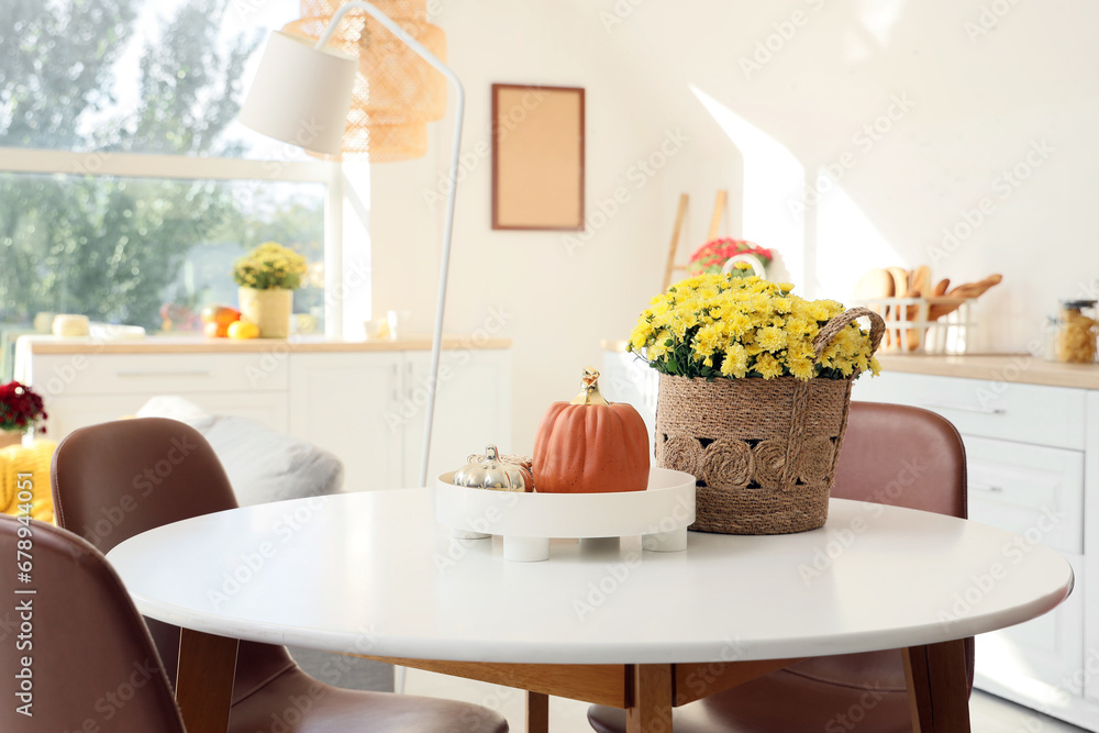 Chrysanthemum flowers with pumpkins on dining table in kitchen