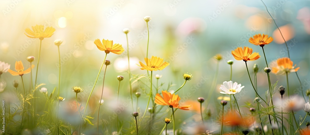 In the sunny summer sky, a vintage Lensbaby captured the beauty of natures retro charm, with its soft focus on a vibrant flower in a green garden, surrounded by lush grass and blooming plants in a