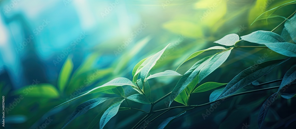 background, an abstract pattern of textures and colors emerges, blending elements of nature and light. The leaves create a beautiful green backdrop, with vibrant colors painting the plant. The bokeh