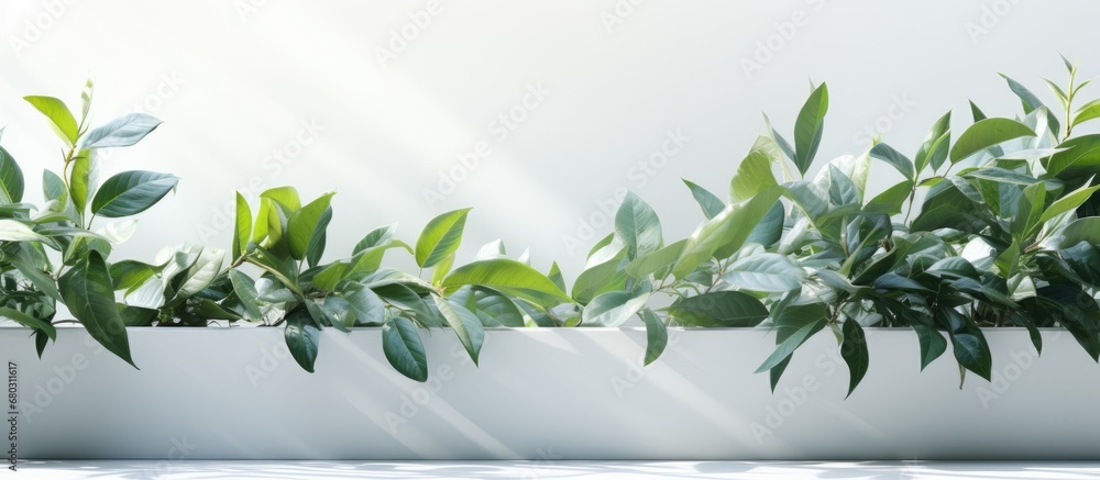 The abstract pattern of the texture captures the essence of a summer day, with the natures light casting delicate shadows on the white and green leaves, as the sun bathes the earth in warmth and